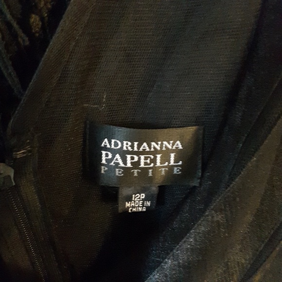 Adrianna Papell evening dress - Picture 8 of 8